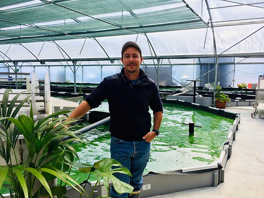 spiruline pays de retz local